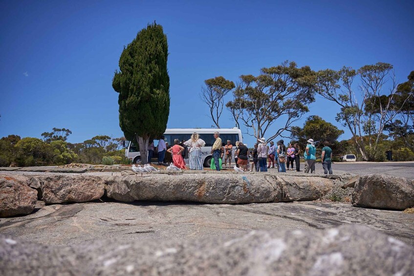 Picture 4 for Activity Port Lincoln: Aboriginal Cultural Tour with Lunch 5