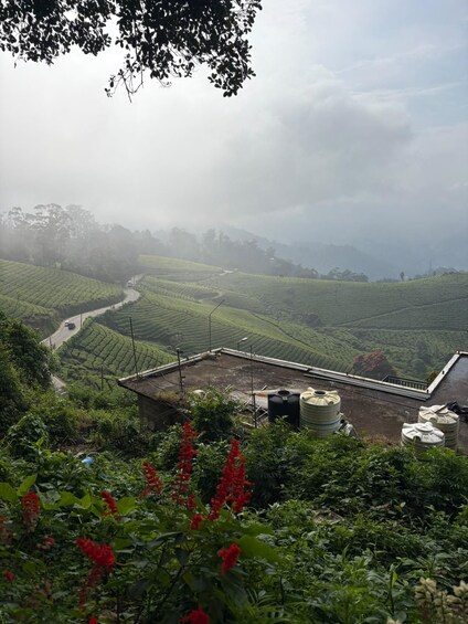 Picture 6 for Activity 4 Day Kerala Nature Tour Kochi Munnar Thekkady & Backwaters 4