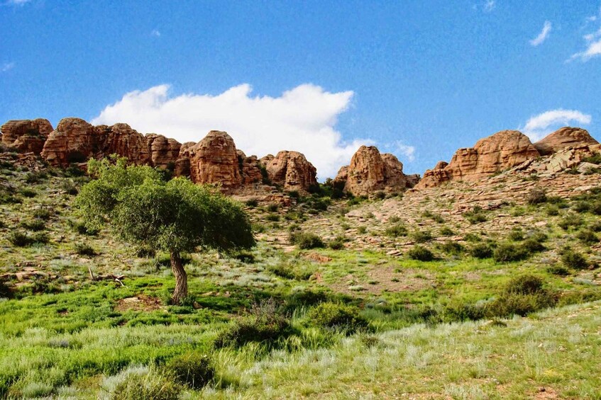 A desert landscape with rocky formations and sparse vegetation. 1