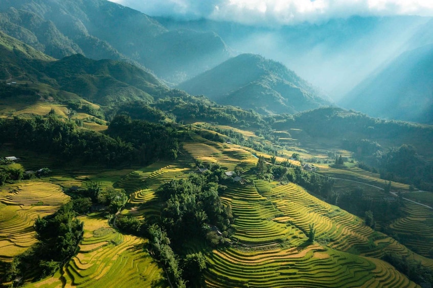Picture 12 for Activity Sapa: Trekking Through Y Linh Ho - Lao Chai & Ta Van Village 1