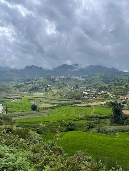 Picture 4 for Activity Sapa: Trekking Through Y Linh Ho - Lao Chai & Ta Van Village 3