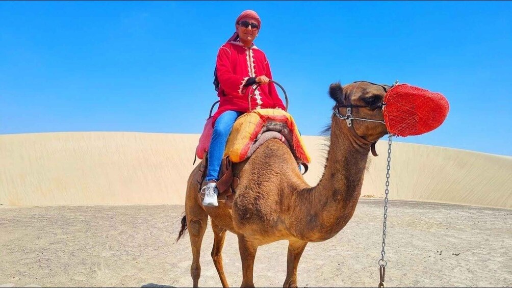 Picture 4 for Activity Peru: Camel Ride and Wine Tasting in the Desert 2