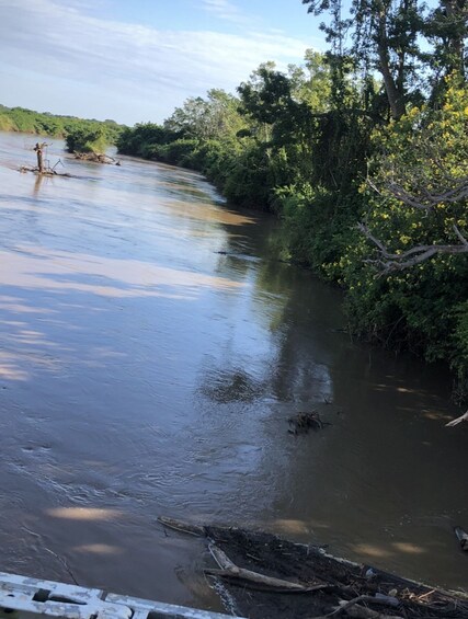 A river with calm water, surrounded by dense greenery and trees. 2