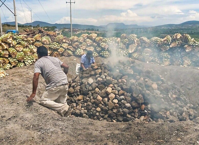 Two people working with large rocks and plant material in an open area with mountains in the background. 3