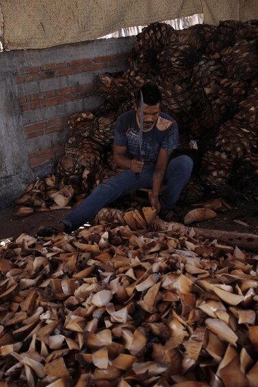 A person sitting among large piles of chopped wood. 2