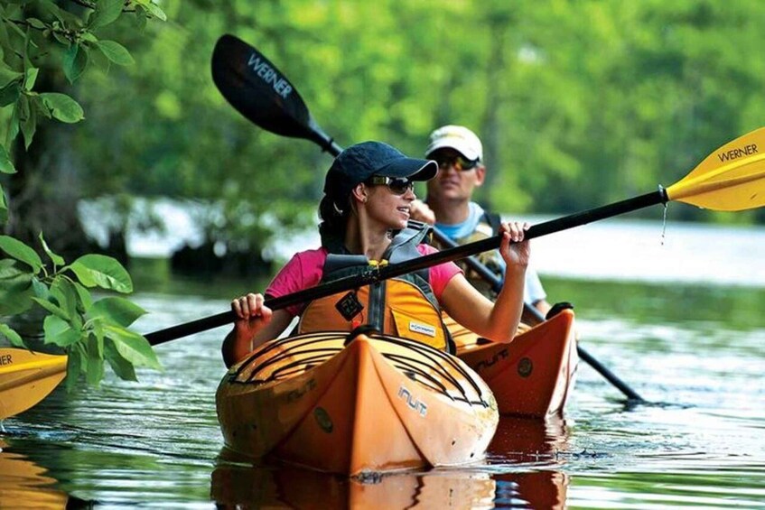 Two people kayaking in a calm river surrounded by greenery. 1