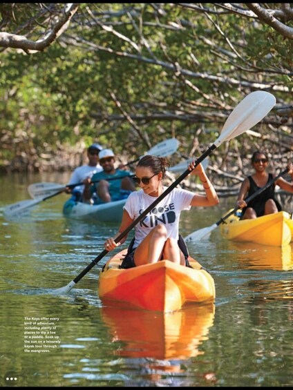 People kayaking on a calm river surrounded by mangroves. 2