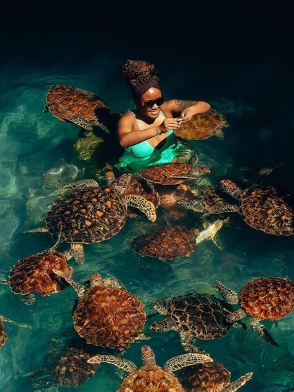 A person swimming with sea turtles in clear water. 5