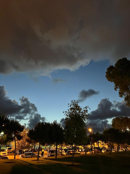 A nighttime parking lot with cars and trees under a cloudy sky. 1