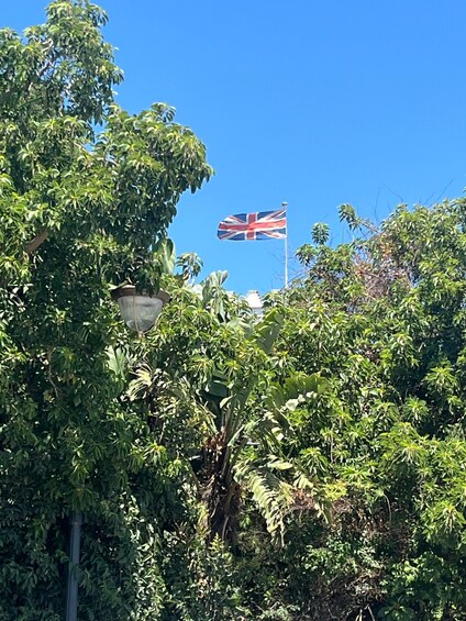 A flagpole with a Union Jack flag, surrounded by dense green foliage. 2