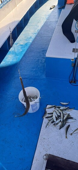 Picture 1 for Activity Larnaca: Private Fishing - Traditional Explorer N Vessel 4