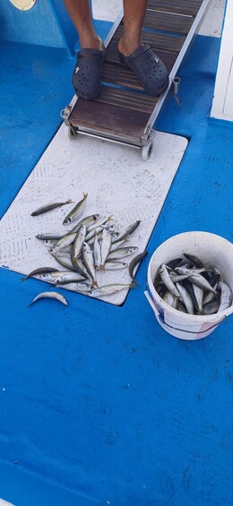 Larnaca: Private Fishing - Traditional Explorer N Vessel 1