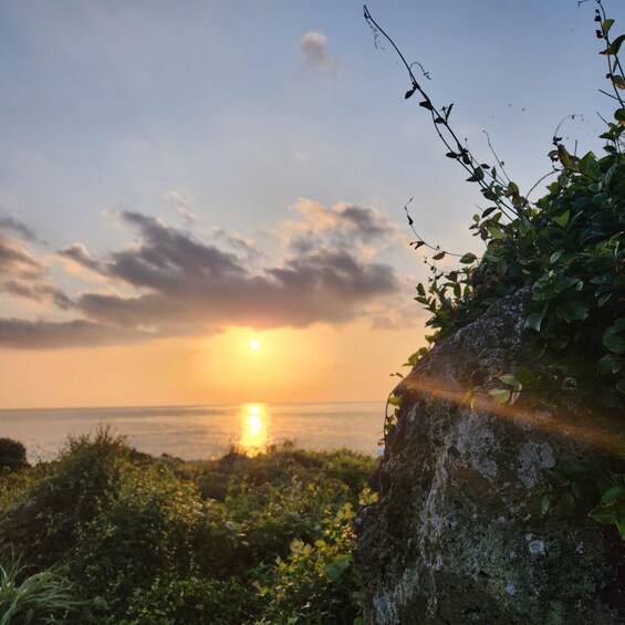 A sunset over the ocean with clouds and vegetation in the foreground. 3