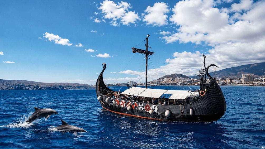TENERIFE Cruise Whales & Dolphins Watching + SWIM STOP 1