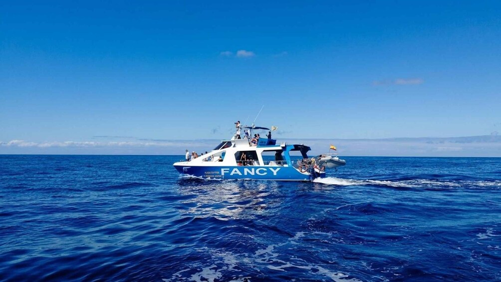 La Palma: Wildlife Viewing and Cumbre Vieja Boat Tour 1