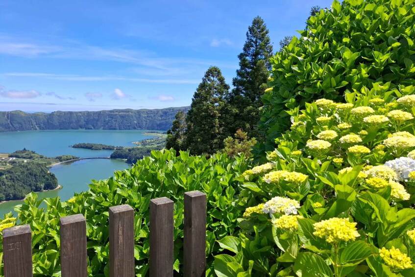 Picture 23 for Activity São Miguel: Sete Cidades, Lagoa Fogo & Pineapple Plantation 2