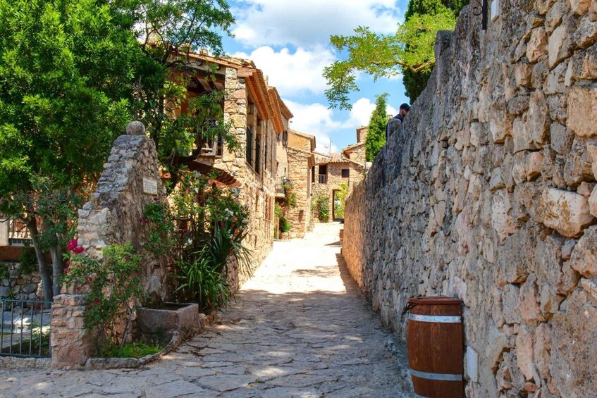 Picture 2 for Activity Romantic Tour, Wines and Picnic in Siurana and Priorat from Barcelona 2