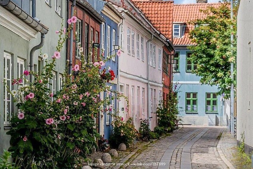 Eine Kopfsteinpflasterstraße gesäumt von bunten Gebäuden, ein blühender Busch und ein klarer Himmel. 3