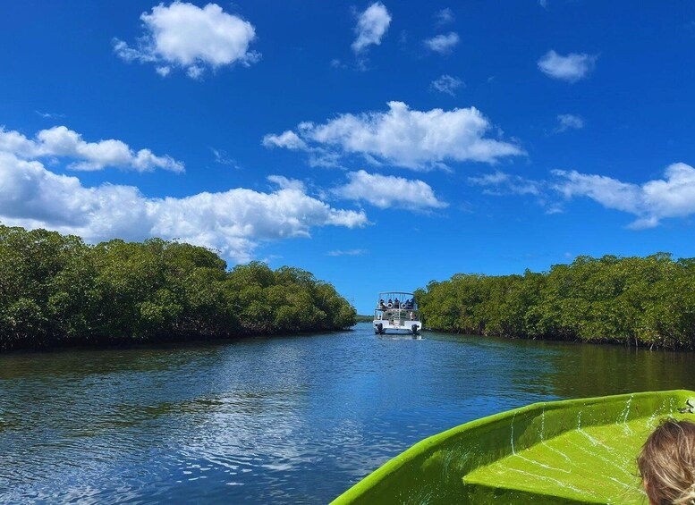 Puerto Plata: Amber cove and Taino Bay guided tour 1