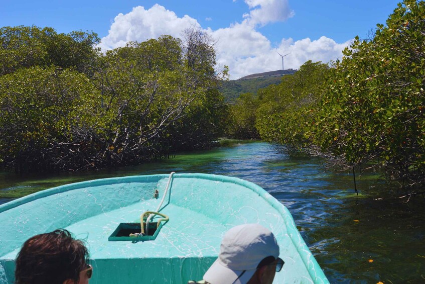 Picture 7 for Activity Puerto Plata: Amber cove and Taino Bay guided tour 5