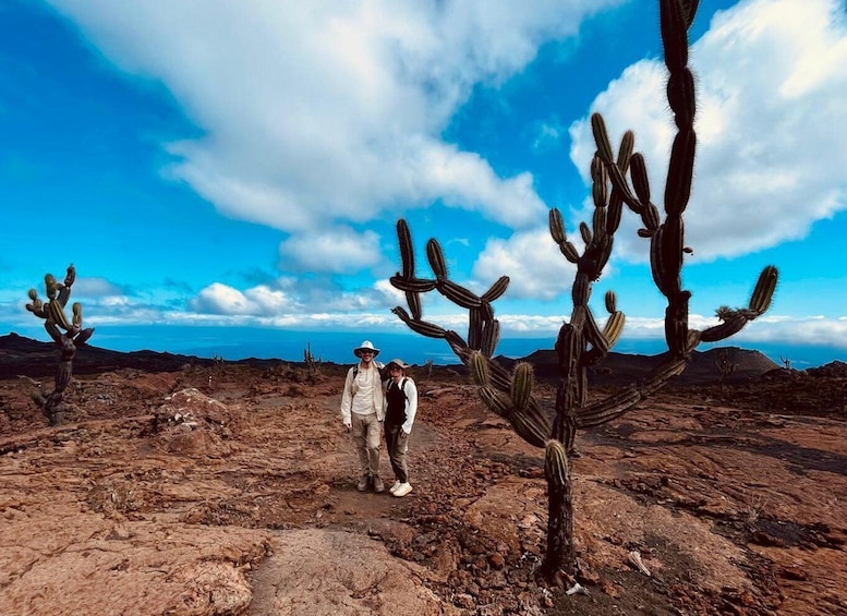 A desert landscape with tall cacti and two people standing in the foreground. 1