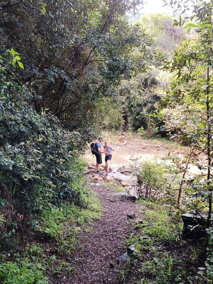 Two people hiking on a rocky path surrounded by dense greenery. 4