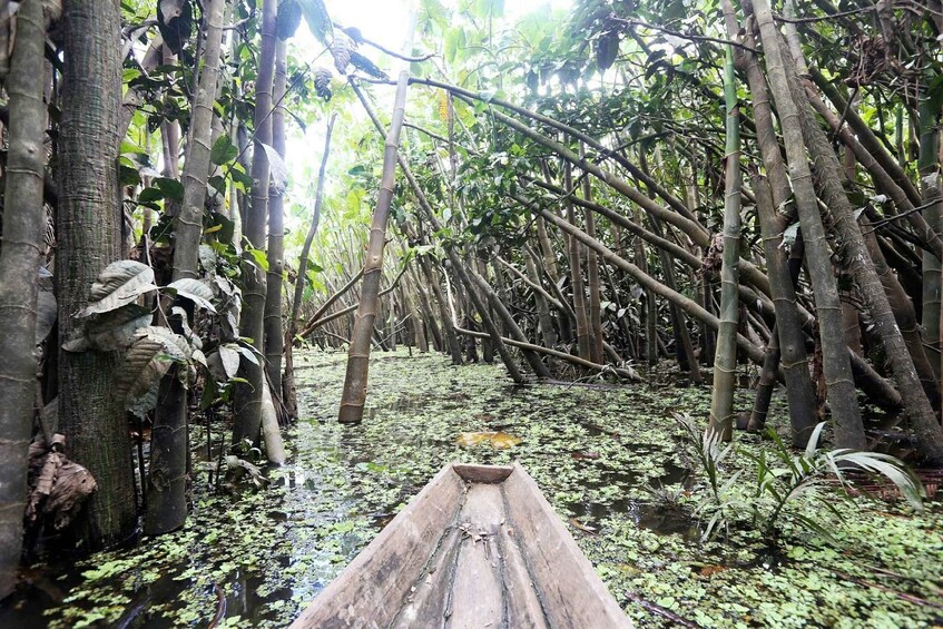 A narrow waterway flanked by dense mangrove trees. 3