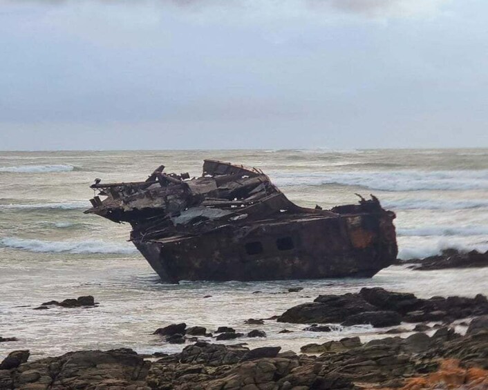 Picture 3 for Activity Guided Cape Agulhas Tour: Where Two Oceans Meet 5