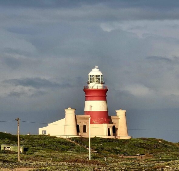 Picture 2 for Activity Guided Cape Agulhas Tour: Where Two Oceans Meet 2