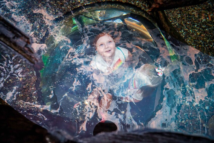 A person in a transparent enclosure with water and pebbles. 3