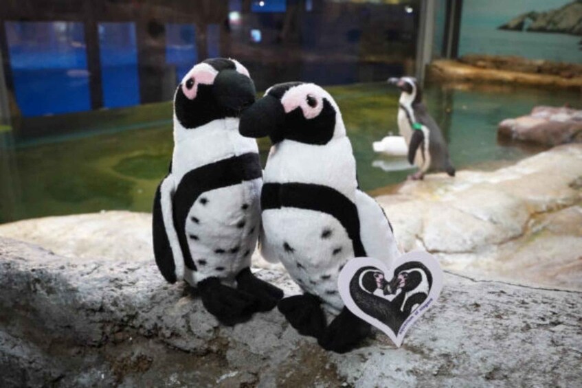 Two penguins sitting on a rock with a heart-shaped decoration. 4