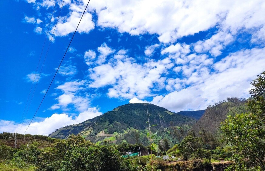 Picture 6 for Activity 3 Hours Jeep or ATV or Motorcycle Trip To Via Los Pajaros 5