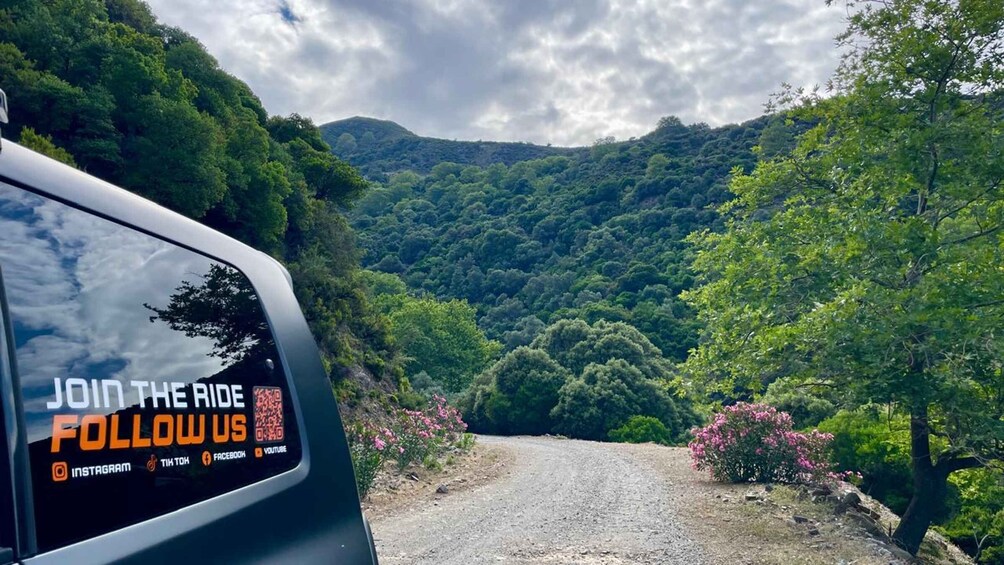 A car's side mirror reflecting a lush green landscape with a gravel road leading into the distance. 1