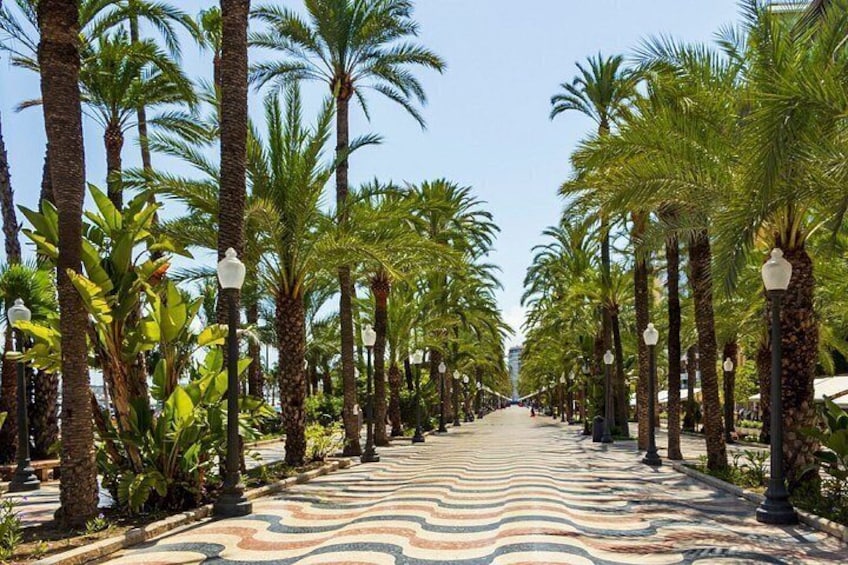 Un sentier bordé de palmiers et agrémenté d’un pavé à motifs. 2