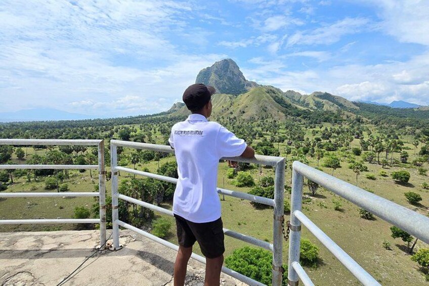 A person standing on a concrete platform with a railing, overlooking a mountainous landscape with greenery and a prominent rock formation. 5