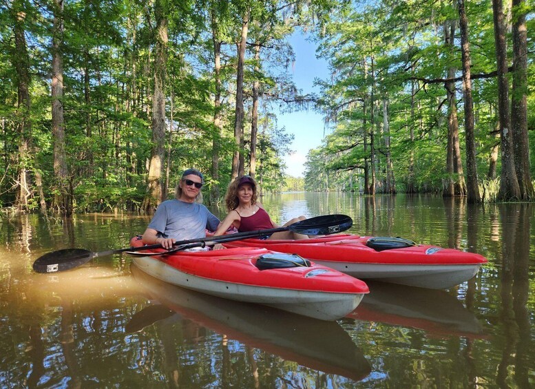 Picture 3 for Activity Baton Rouge: Kayak Tour Through the Historic Cypress Forest 4