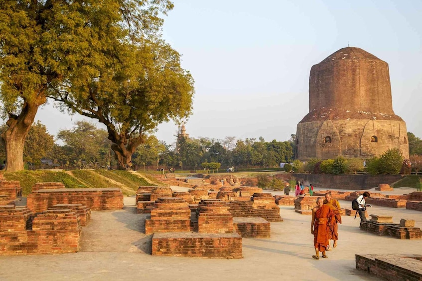 Ancient brick ruins, a large tree, and a historic building in a park. 1