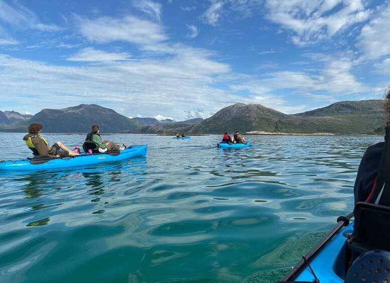 Picture 7 for Activity Exclusive, Sommarøy: Half-day guided trip in user-friendly Hobie kayaks 5