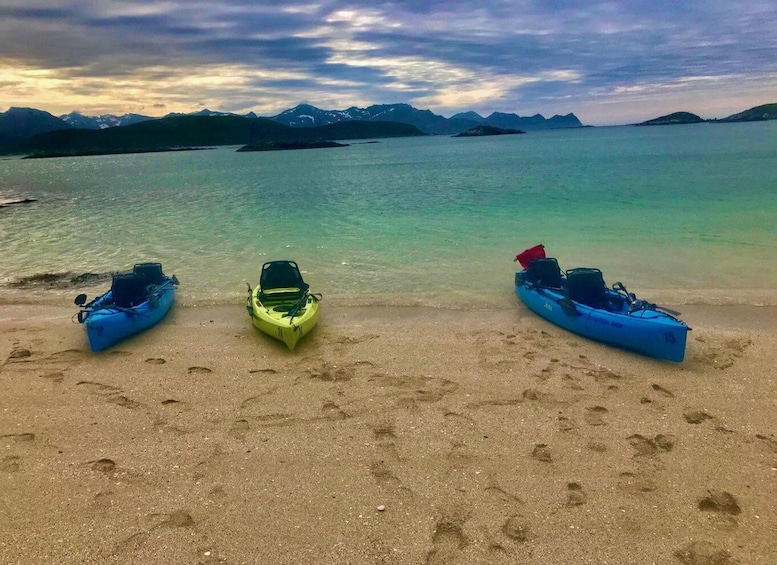 Picture 1 for Activity Exclusive, Sommarøy: Half-day guided trip in a user-friendly Hobie kayak 2