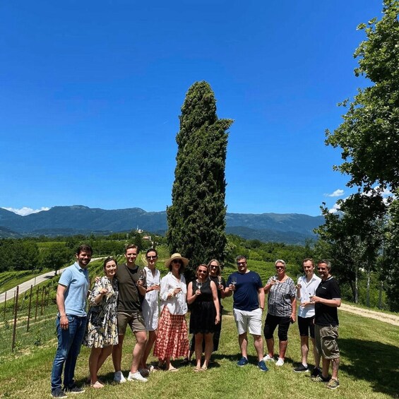 Picture 9 for Activity San Pietro di Feletto: Vineyard Tour with Cellar Visit 2