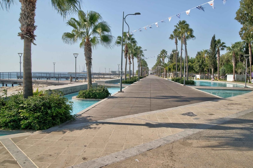 A promenade with palm trees, a wooden walkway, and a pool area. 2