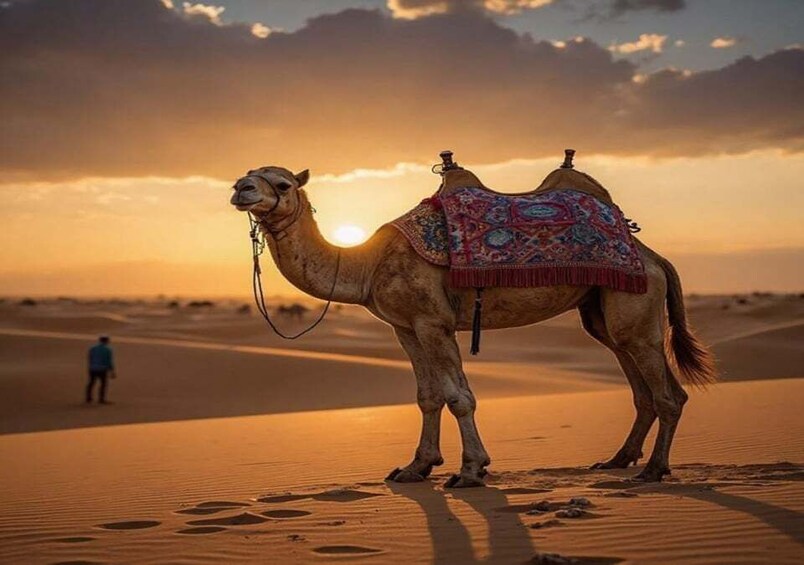 A camel with a colorful saddle standing on a desert sand dune with a person in the background and the sun setting in the distance. 5