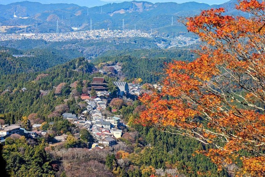 Explore the Sacred Past of Mount Yoshino from Osaka 1