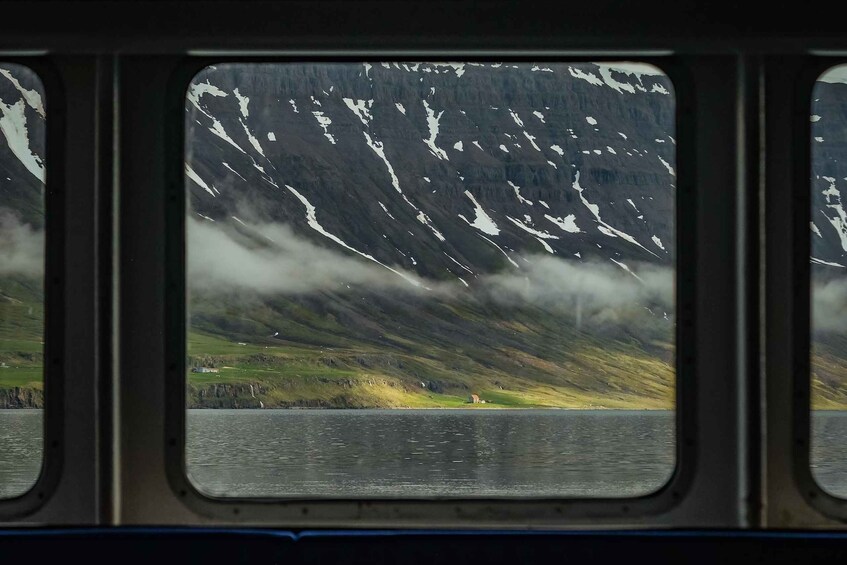 Picture 4 for Activity Seyðisfjörður nature and wildlife cruise 4