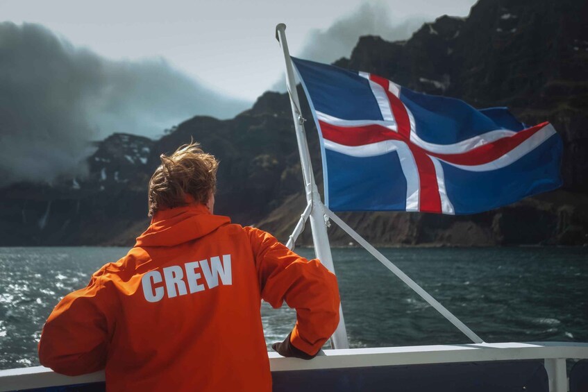 Picture 3 for Activity Seyðisfjörður nature and wildlife cruise 5