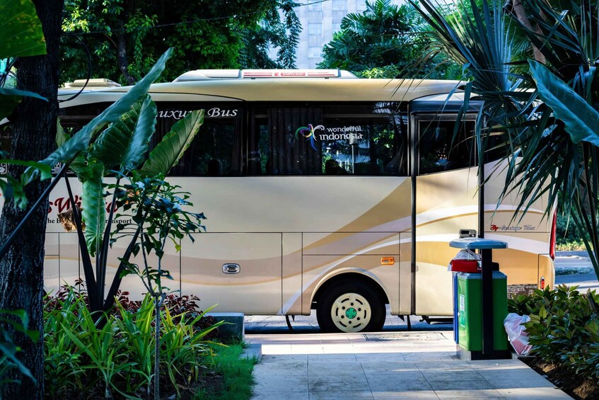 A bus parked near a trash can with greenery around. 3