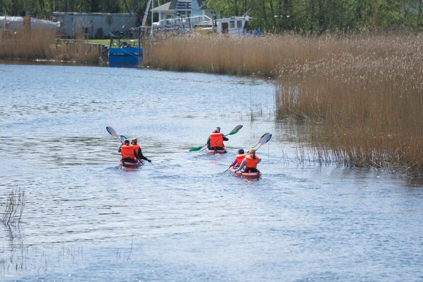 Picture 2 for Activity Saaremaa: Guided Kayaking Tour with Equipment 3