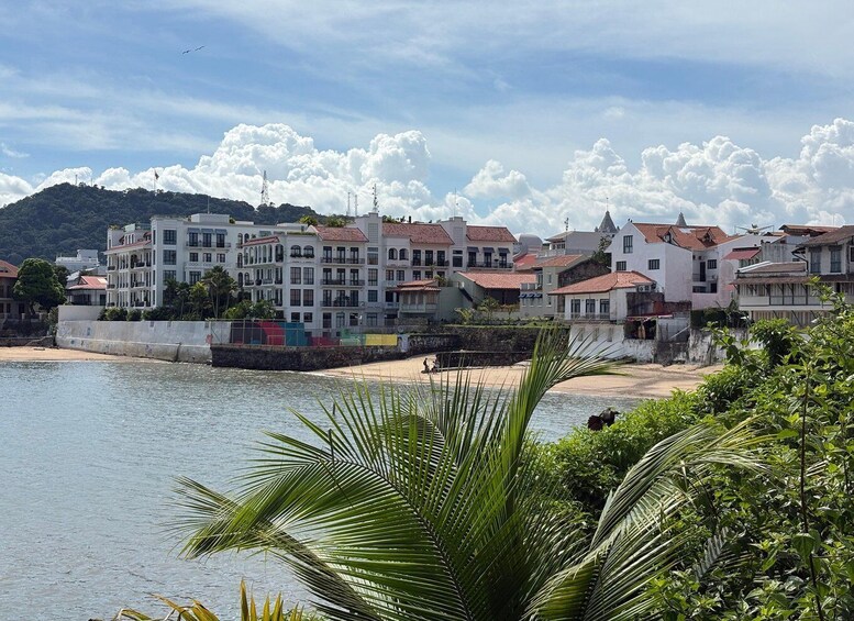 A coastal town with buildings along the beach, palm trees, and a clear sky. 1