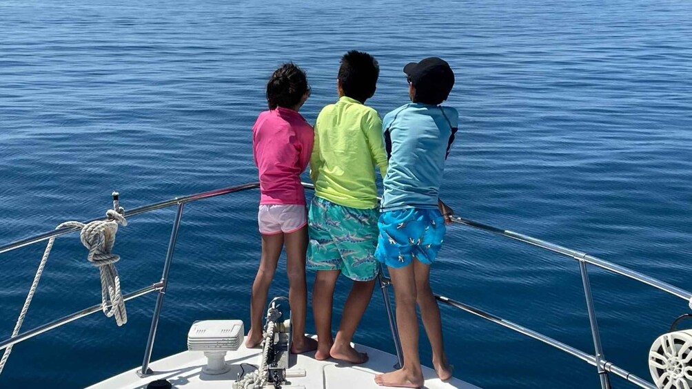 Picture 9 for Activity La Paz: Espiritu Santo Island and Balandra Bay Day Cruise 4