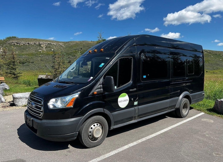 A black van parked on a road with a green label on the side. 2